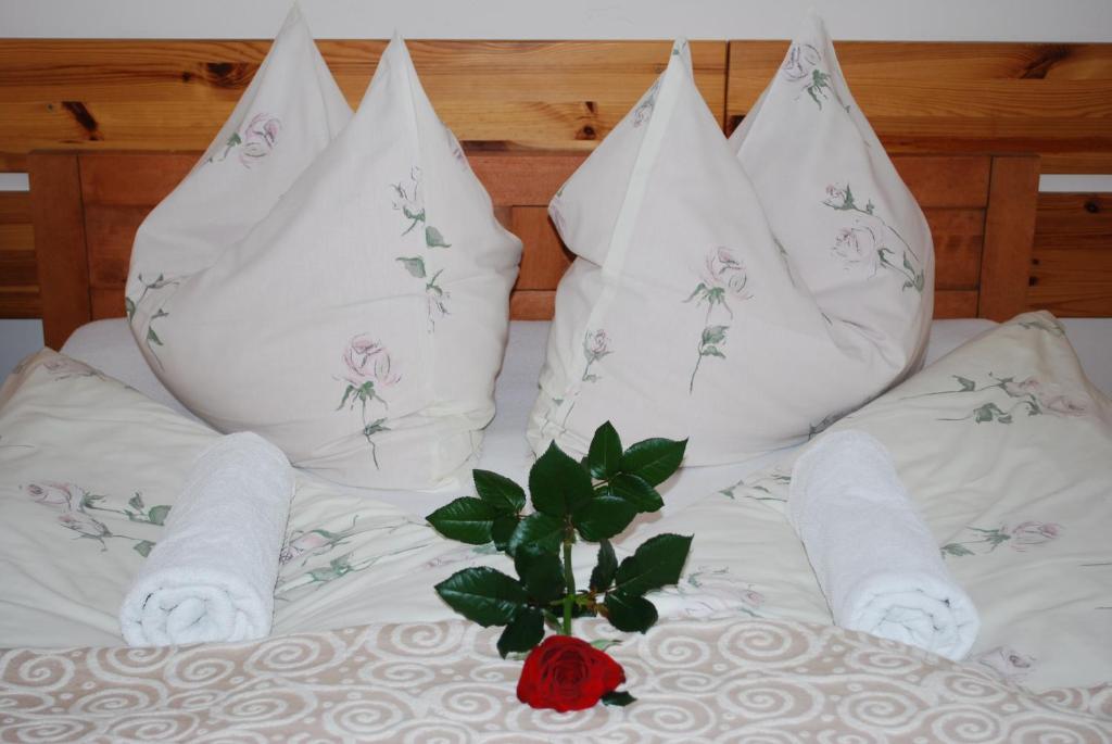 Bialy Dworek Zakopane Oda fotoğraf